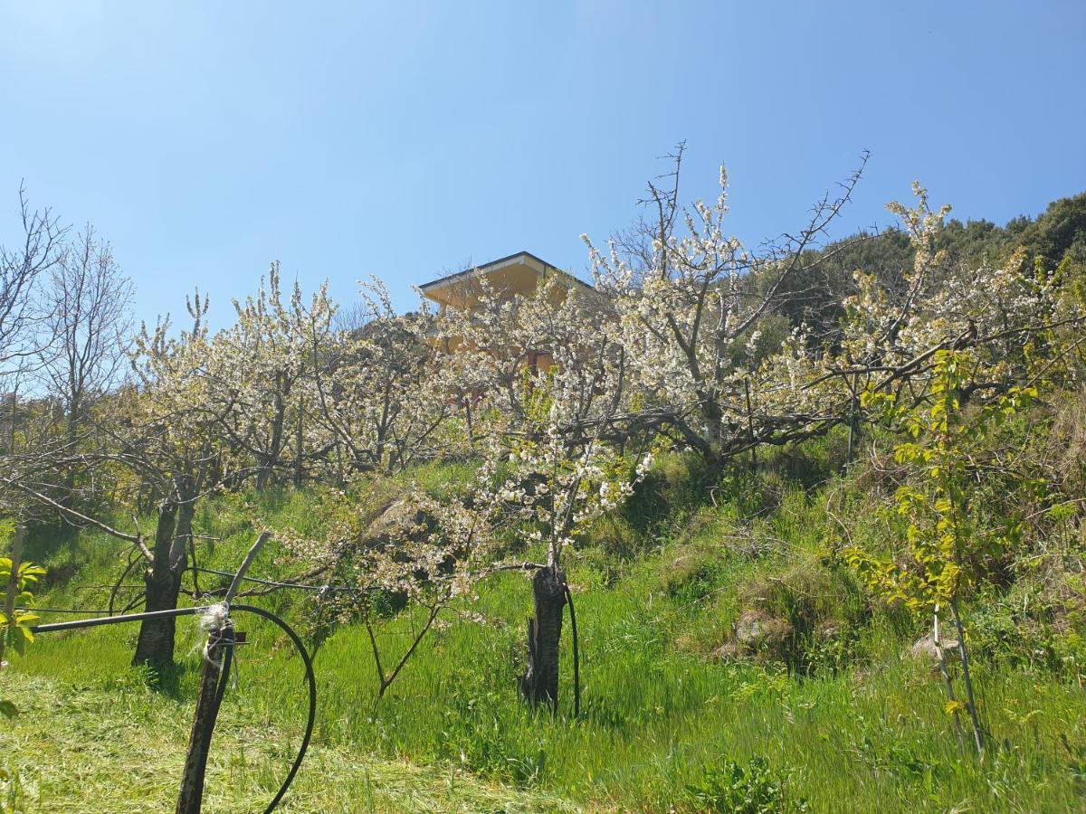 Oasi Del Benessere