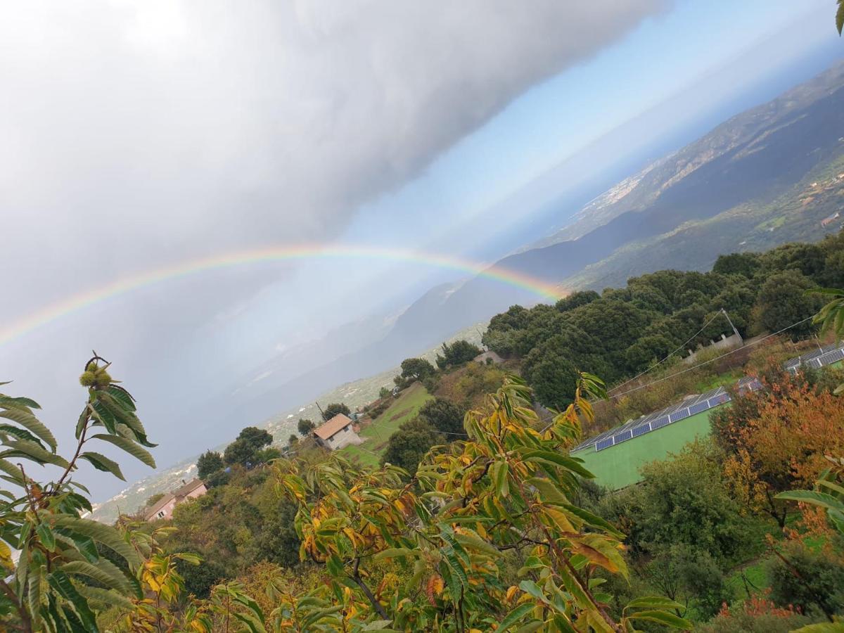 Oasi Del Benessere Ilbono