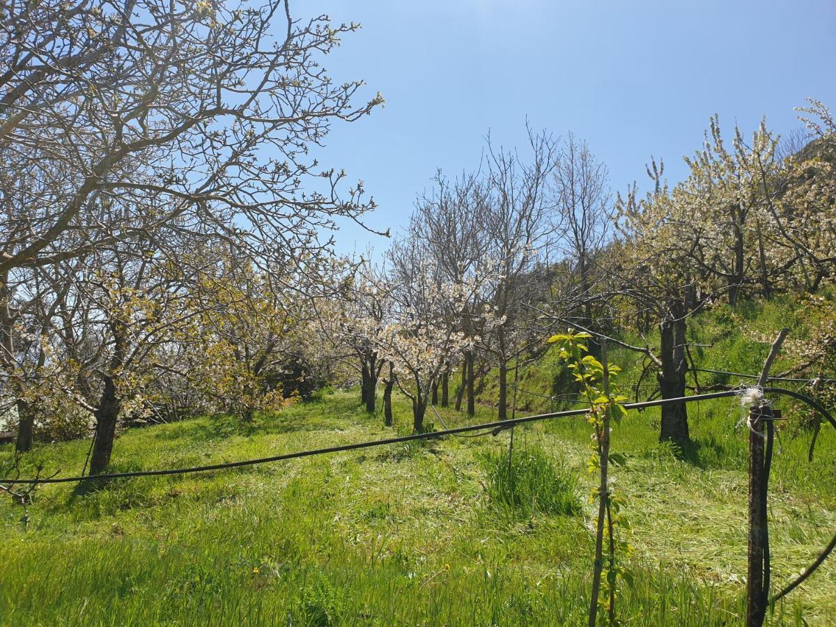 Oasi Del Benessere Hotel Ilbono